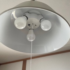 吊り下げ証明
の画像