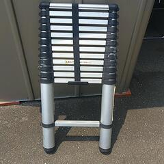 🪜  伸縮ハシゴの画像