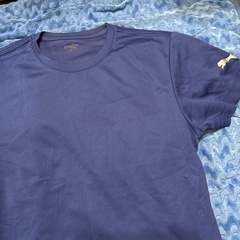 値下げ　ブランドTシャツ　5着セットMサイズ古着no.2の画像