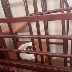 受け渡し予定者決まりましたいい方でしたので即決価格1万円にしましたの画像