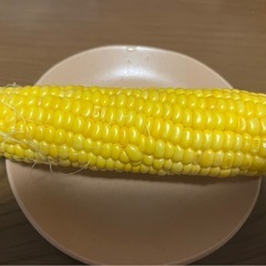 ゴールドラッシュトウモロコシの画像