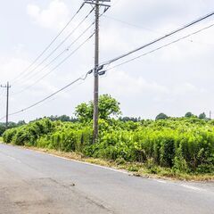 📍茨城町神谷｜297坪｜坪1万｜📦住宅不可でも活用◎自由度高い山林🛠️