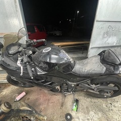 Ninja 250 seの画像