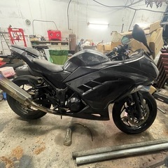 Ninja 250 seの画像