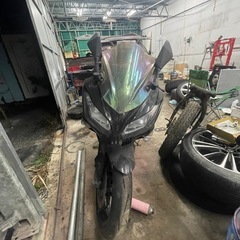 Ninja 250 seの画像