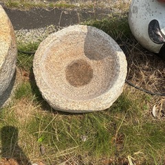 石　臼　金魚　メダカ　鉢　睡蓮の画像