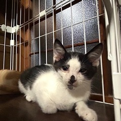 寝るの大好きおっとりくん − 三重県