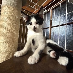 寝るの大好きおっとりくん