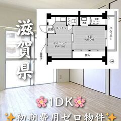 【滋賀県】1DK・学生、高齢者相談◎✨【近江八幡市】