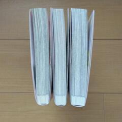 中古品　マンガ　嘘婚ロマン　1～3巻　完結の画像