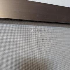 網戸2枚セット　128×65の画像