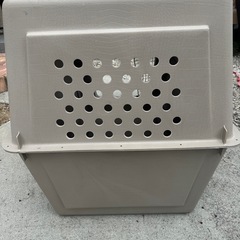 大型犬クレート【引き取りに来てくれる方限定】の画像