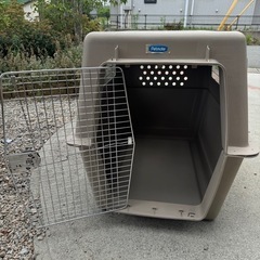大型犬クレート【引き取りに来てくれる方限定】の画像