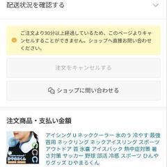 ハンズフリーアイスパックの画像