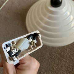 電気　かさの画像