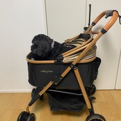 ペットカートの画像