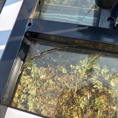 バスケットゴールの画像