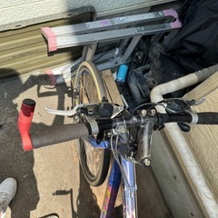 アラヤランドナー
の画像