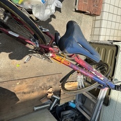 アラヤランドナー
の画像