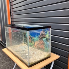 GEX ジェックス　水槽の画像