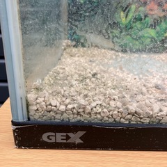 GEX ジェックス　水槽の画像