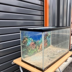 GEX ジェックス　水槽の画像