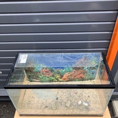 GEX ジェックス　水槽の画像