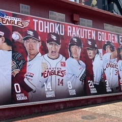応援仲間募集中！！楽天イーグルス！