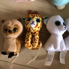 アニマル　動物　ぬいぐるみ　うさぎ　ペンギン　カンガルー　キリン　　フクロウ　シロクマの画像