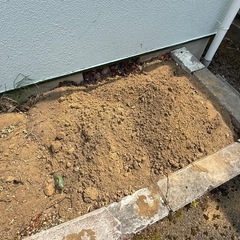 花壇に入っている上質な残土長野市2週間後に撤去します。