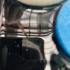 メダカ販売会inつきみ野　針子〜稚魚　卵のみの画像