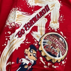 ☆値下げ☆I 2507-228 広島カープ ビールかけ Tシャツ  2017 Sサイズ 中古美品の画像