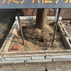花壇に入っている上質な残土長野市2週間後に撤去します。の画像