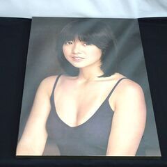 宮崎美子　パネル　昭和　②の画像