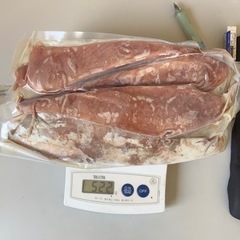 2025年　アキアジ、サケ釣りに　釣り餌  生カツオ　ハラモ　500g