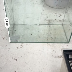 ガラス製の水槽です。の画像