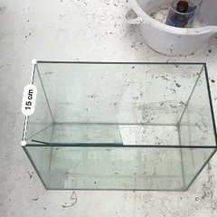 ガラス製の水槽です。の画像