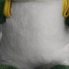 (状態良)ワンワンぬいぐるみ いないいないばぁの画像