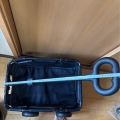 ペットキャリー カート ワゴンBBQや海にの画像