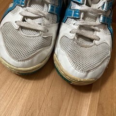 バスケットボール
　バッシュ　22.0㎝の画像