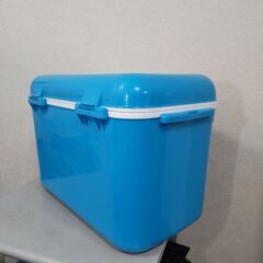 JEJアステージ クーラーボックス モンタナ 35Ｌ W約55×D約32.4×H約36.4cm キャンプ用品 フェス レジャー 海 海水浴 保冷バッグの画像