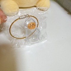うちの子のけだまだまの画像
