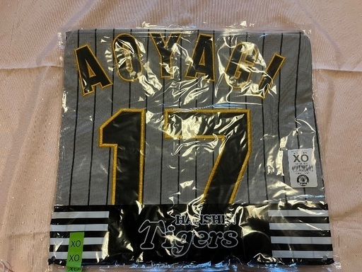 17 青柳　ビジターユニ　未使用