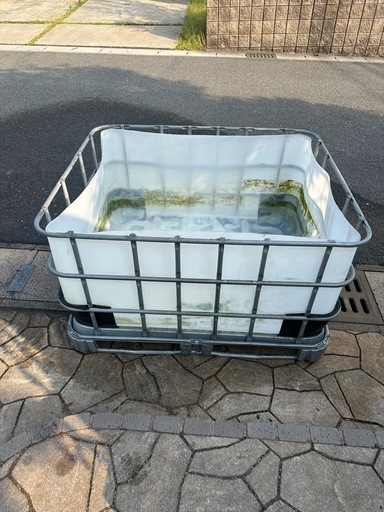 【値下げ】金魚や魚、アクエリウムやカメなどの飼育にも最適！コンテナ水槽
