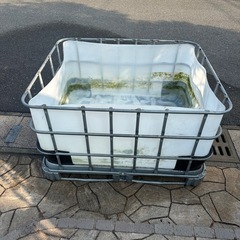 金魚や魚、アクエリウムやカメなどの飼育にも最適！コンテナ水槽の画像