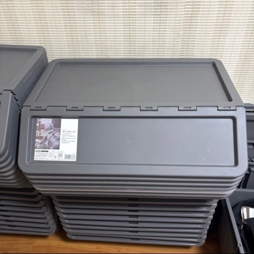 キャリコ(Mサイズ12個、Lサイズ11個)