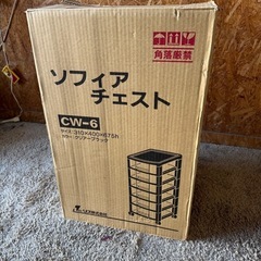 G0805   ソフィアチェスト　収納ケース　　クリアブラック　