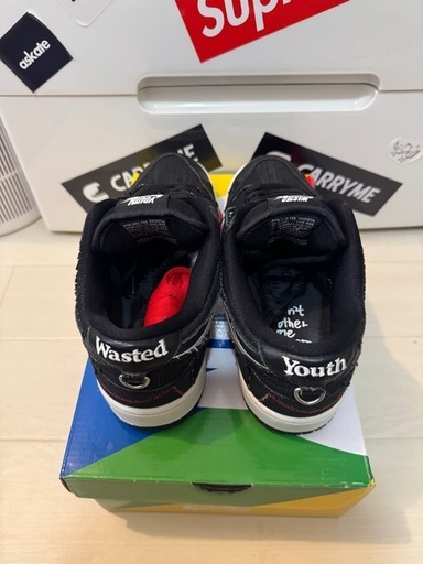 Wasted Youth × Nike SB Dunk Low 