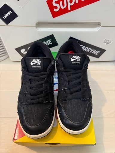 Wasted Youth × Nike SB Dunk Low 