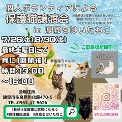 長崎の個人ボランティアによる保護猫譲渡会【7.8月】